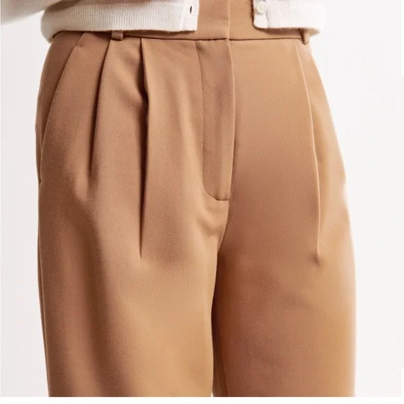 Abercrombie & Fitch Taupe Wide-Leg Pleated Trousers - Picture 2 of 5
